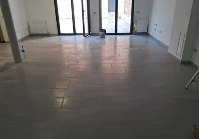 Proyecto de reforma 5
